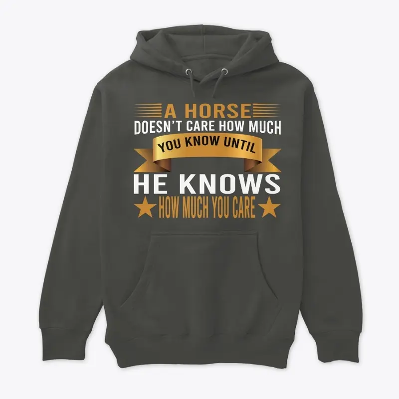 A HORSES DOSEN'T CARE MUCH 