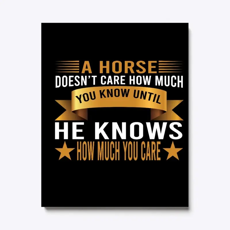 A HORSES DOSEN'T CARE MUCH 